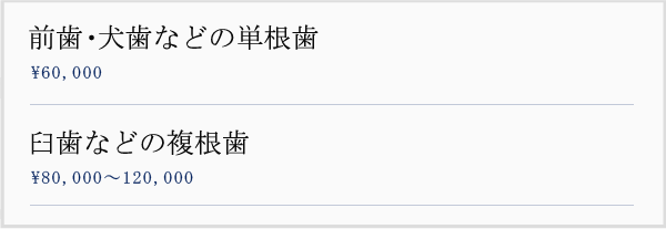 精密根幹治療　価格表